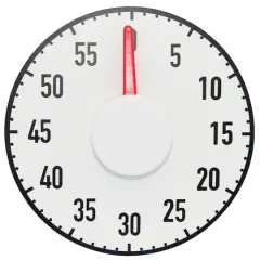 Ashley Productions Magnetic Big Timer, 7.5"