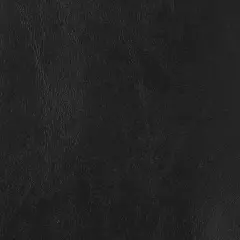 Nassimi Seaquest Ebony Black Vinyl