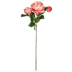 Coral English Rose Stem by Ashland&reg;