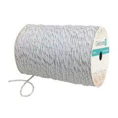 100yd. Twine by Celebrate It&trade; Silver
