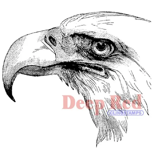 Deep Red Stamps Bald Eagle Portrait Rubber Cling Stamp 3.2 x 2.9 inches {1}