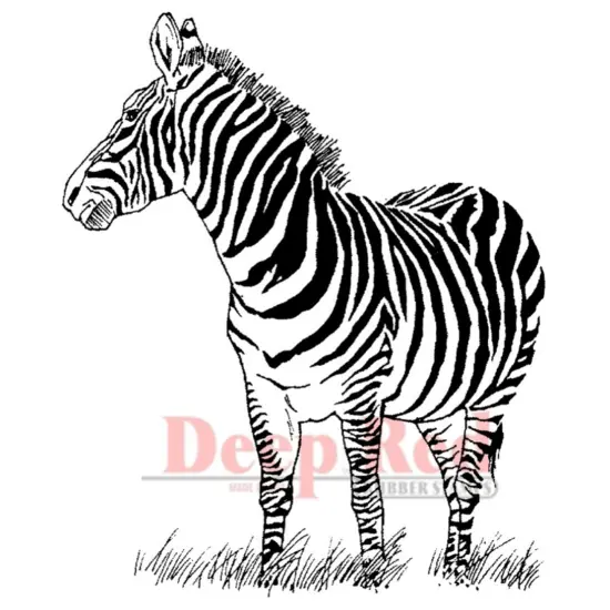 Deep Red Stamps Zebra Rubber Cling Stamp 2.75 x 3.1 inches {1}