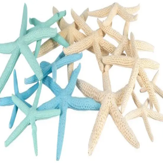 Starfish 12 Uniquely Shaped Blue & Green White Finger 2"-5" Starfish for Crafts and D&eacute;cor {1}