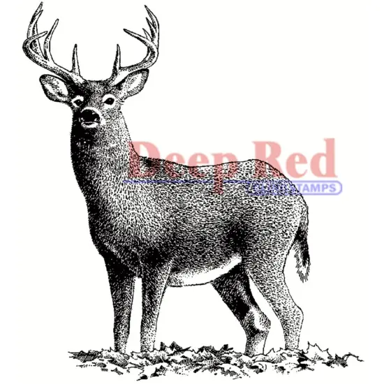 Deep Red Stamps Buck Deer Rubber Cling Stamp 2.7 x 3.2 inches {1}