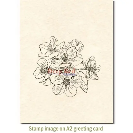 Deep Red Stamps Apple Blossoms Rubber Cling Stamp 2.9 x 2.7 inches {3}