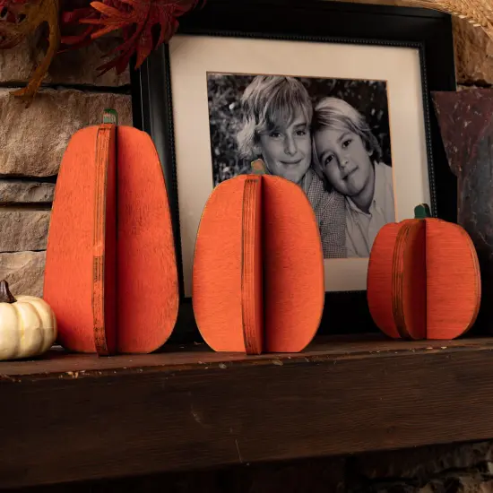 Unfinished Slotted Pumpkins Set of 3 {4}