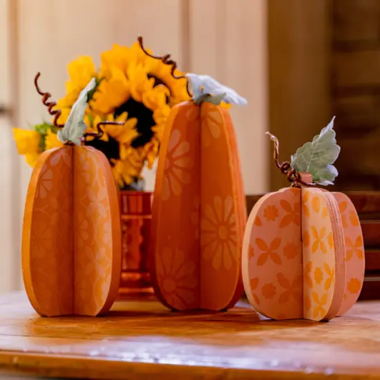 Unfinished Slotted Pumpkins Set of 3 {2}
