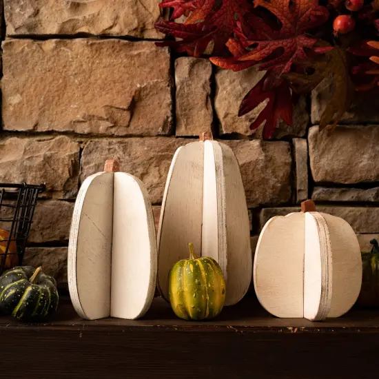 Unfinished Slotted Pumpkins Set of 3 {5}