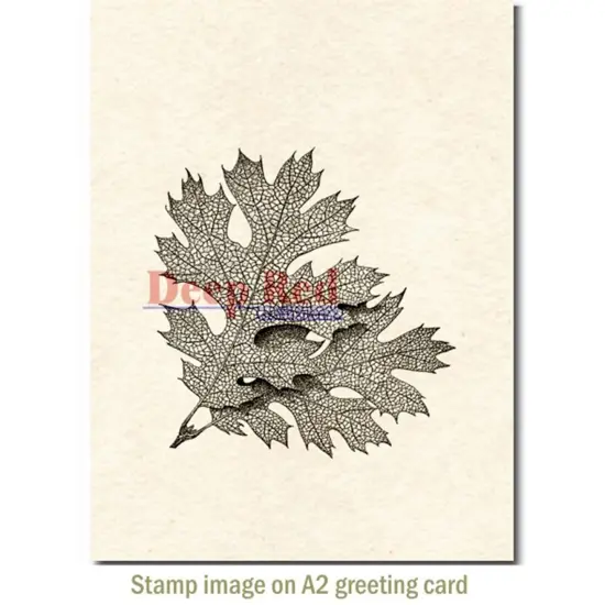 Deep Red Stamps Elm Leaves Rubber Cling Stamp 3 x 3.1 inches {3}