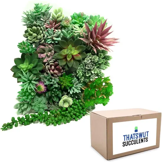 35 Pack Bulk Large Assorted Realistic Artificial Faux Succulents Aloe Plants Realistic Fake Succulent Plants, Largest Set of Succulents {2}