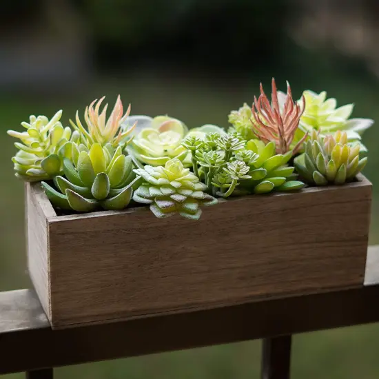 35 Pack Bulk Large Assorted Realistic Artificial Faux Succulents Aloe Plants Realistic Fake Succulent Plants, Largest Set of Succulents {3}