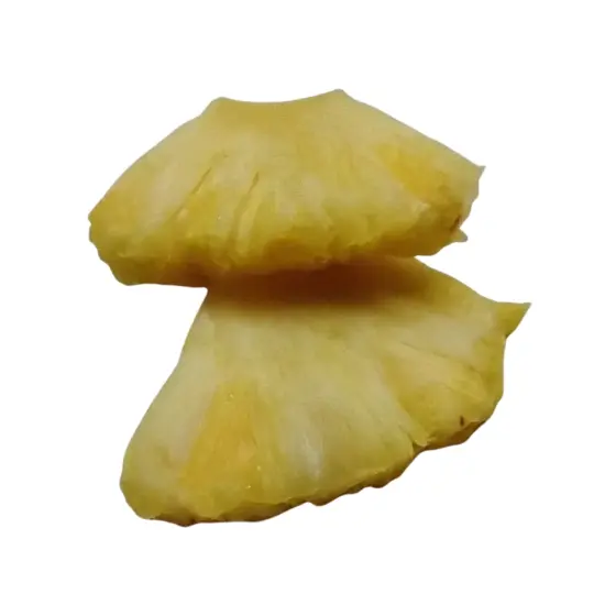 4pc Pineapple Wedge Quarter Slice Silicone Mold| Soap Mold| Candle Mold | Mold for Wax| Mold for Resin {4}