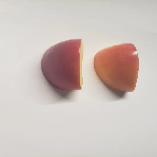 8pc Apple Slices Silicone Mold for Wax Melts | Candles | Resin Castings {5}