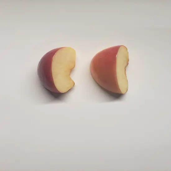 8pc Apple Slices Silicone Mold for Wax Melts | Candles | Resin Castings {3}