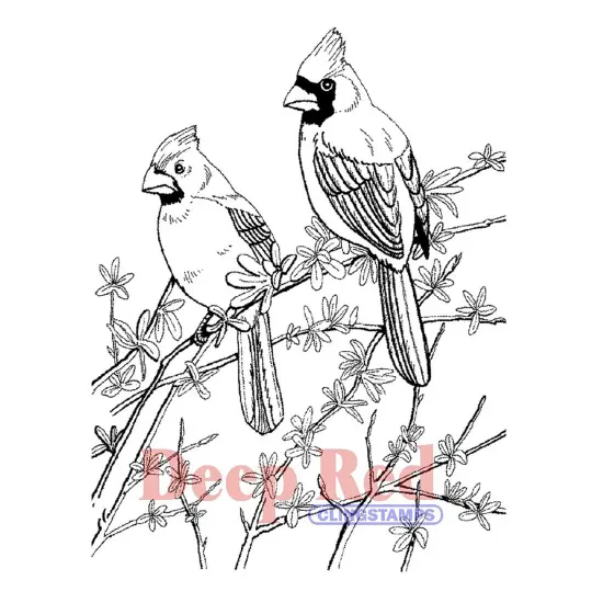 Deep Red Stamps Cardinals Rubber Cling Stamp 3.25 x 4.25 inches {1}