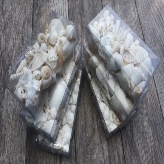 Seashell Mix 5 Pounds of Real White Decorative Seashells for Crafts and Decor {1}