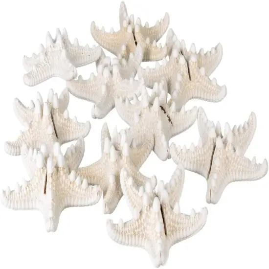 Starfish Place Card 10 Knobby Starfish Holder Set for Beach Wedding Place Cards Shells for Event Table Decor {1}