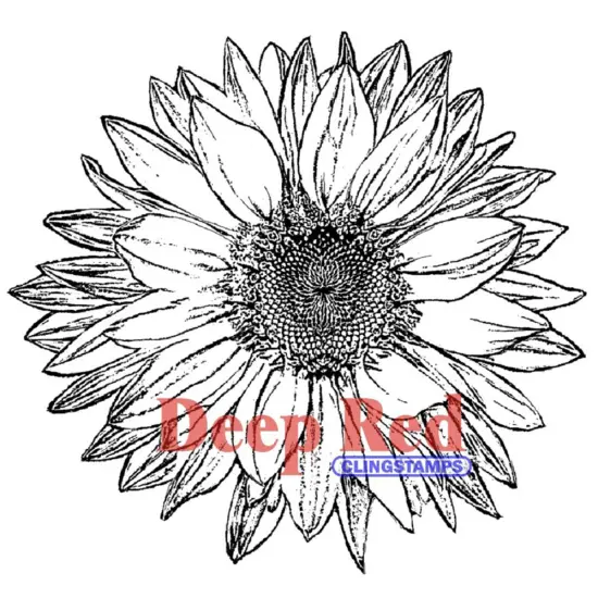 Deep Red Stamps Large Sunflower Rubber Cling Stamp 3.25 x 3.25 inches {1}