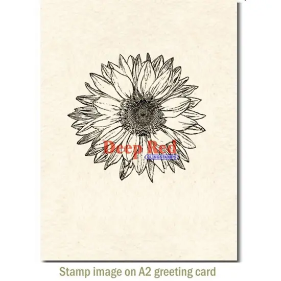 Deep Red Stamps Large Sunflower Rubber Cling Stamp 3.25 x 3.25 inches {3}