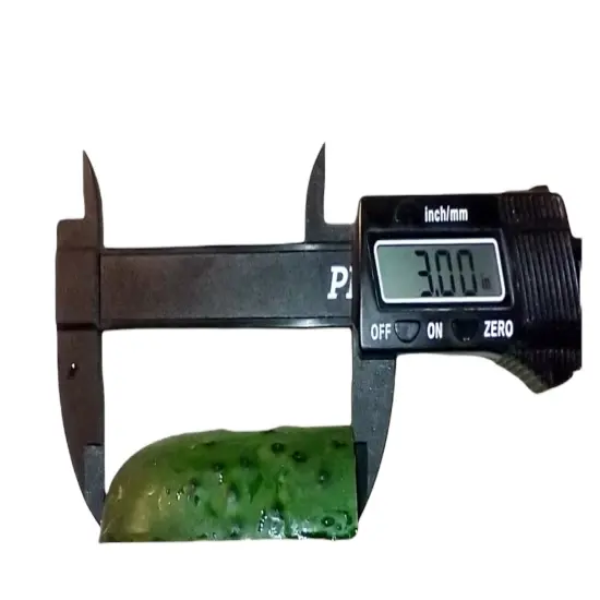 2pc Cucumber Wedge Silicone Mold. Embeds for Wax | Soap | Polymer Clay | Resin {3}