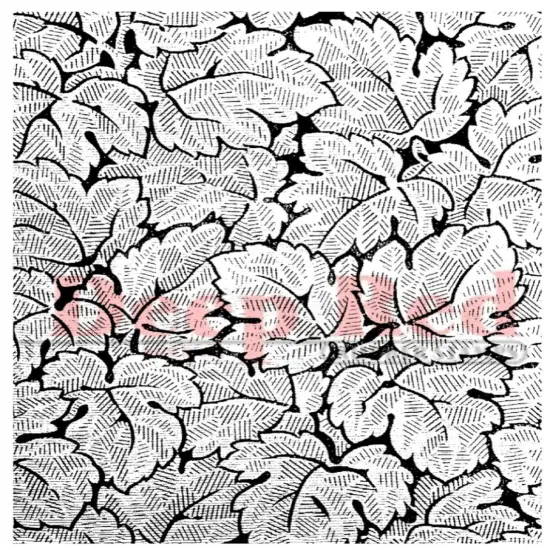 Deep Red Stamps Grape Leaves Background Rubber Cling Stamp 3 x 4 inches {1}