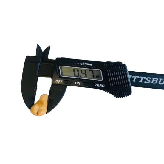 12pc Cashews Silicone Mold| Realistic Peanuts| Food Shaped Mold| Candle| Soap | Embeds. Mold for wax| resin|Cla {5}