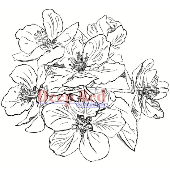 Deep Red Stamps Apple Blossoms Rubber Cling Stamp 2.9 x 2.7 inches {1}