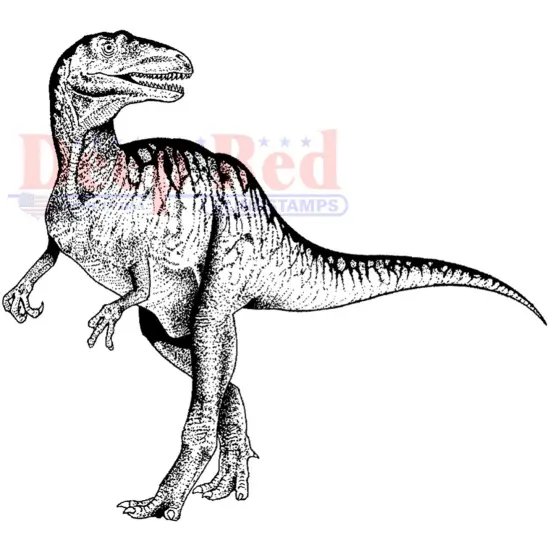 Deep Red Stamps Raptor Dinosaur Rubber Cling Stamp 3.2 x 3 inches {1}