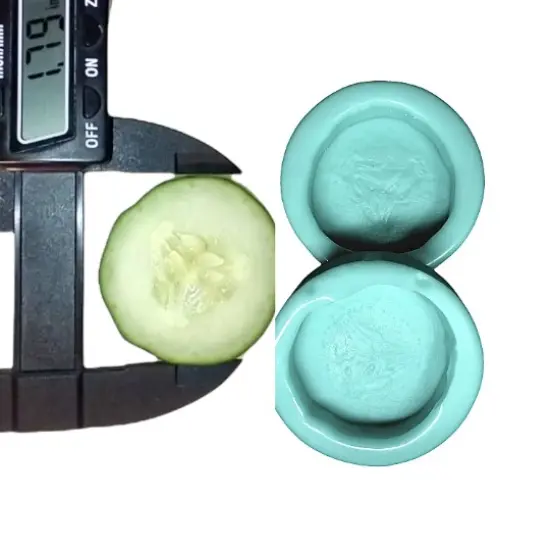2pc Cucumber Slice Silicone Mold. Embeds for Wax | Soap | Polymer Clay | Resin| Not Food Grade {1}