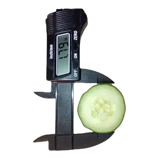 2pc Cucumber Slice Silicone Mold. Embeds for Wax | Soap | Polymer Clay | Resin| Not Food Grade {2}