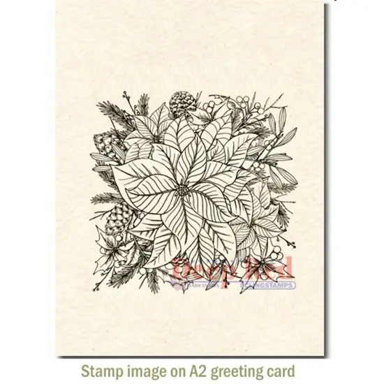 Deep Red Stamps Color Me Poinsettia Rubber Cling Stamp 3.1 x 3.1 inches {3}
