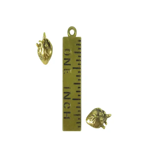 Tiny Anatomical Heart Charms (K655) (4x) Rhodium plated {4}