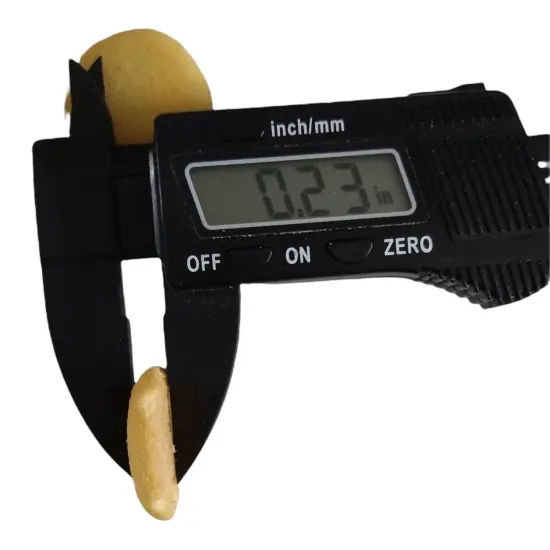 9pc Mini Vanilla Wafer Type Cookie Silicone Mold. Realistic Food Shape Mold, For Wax | Embed | Soap |Resin Castings {2}