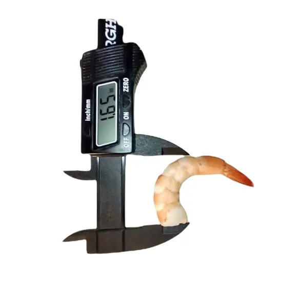 2pc Shrimp Silicone Mold. No Head with Tail On |For Candle| Soap Embeds Mold. Mold for Wax, & Resin {4}