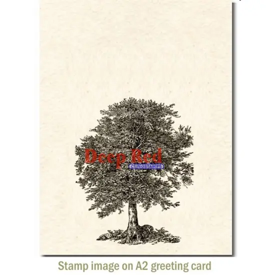Deep Red Stamps Oak Tree Rubber Cling Stamp 2.75 x 3.25 inches {3}