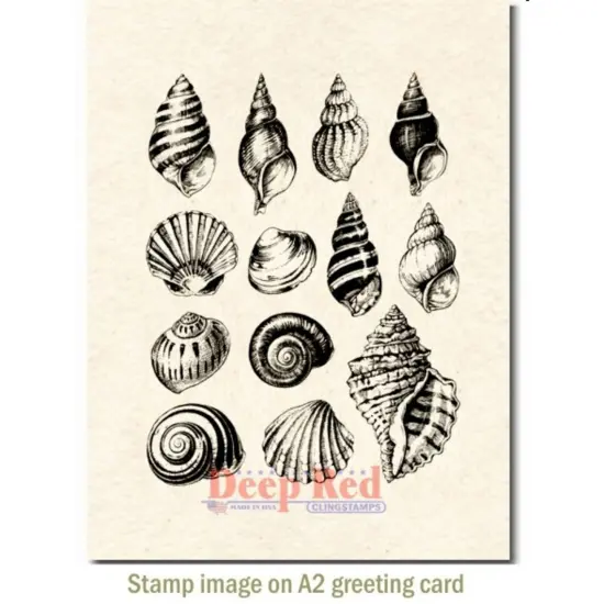 Deep Red Stamps Seashell Collection Rubber Cling Stamp 3.2 x 4.1 inches {3}