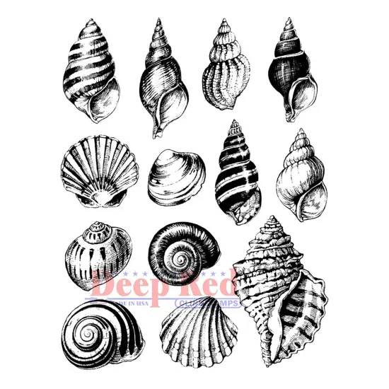 Deep Red Stamps Seashell Collection Rubber Cling Stamp 3.2 x 4.1 inches {1}