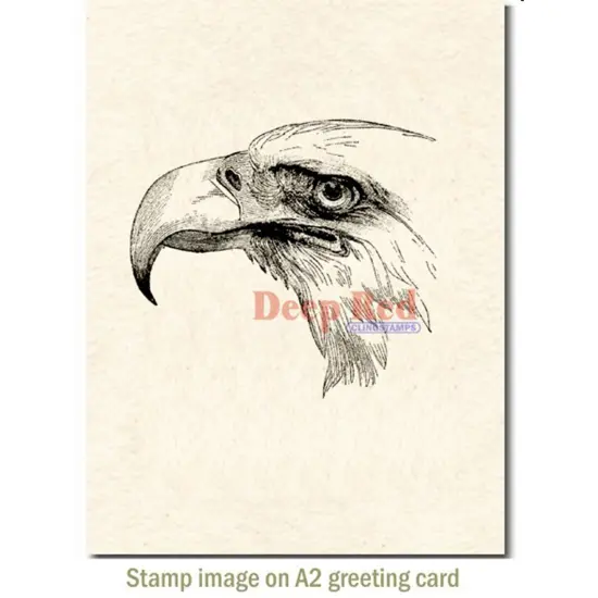Deep Red Stamps Bald Eagle Portrait Rubber Cling Stamp 3.2 x 2.9 inches {3}