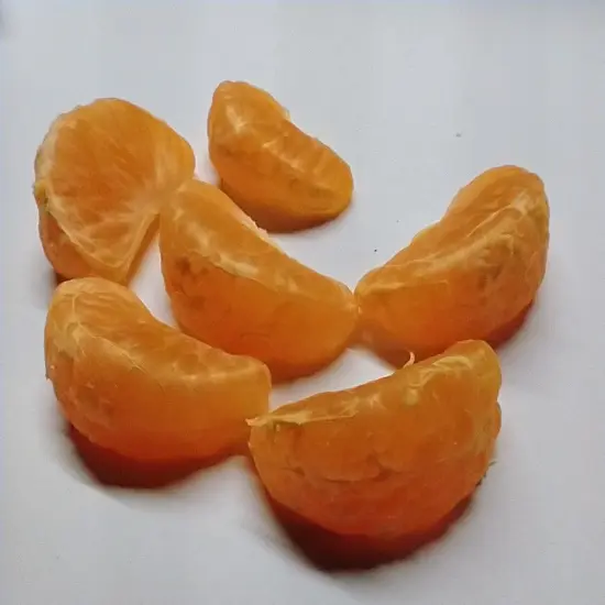 5pc Mandarin Citrus Silicone Mold. Tangerine Orange Silicone Mold.Realistic Food Shape Mold, For Wax | Embed | Soap |Resin Castings {4}