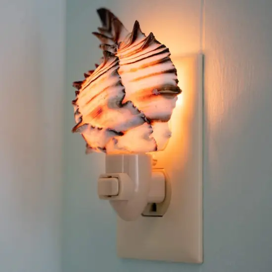 Seashell Night Light 1 piece Black Murex Seashell Plug in Night Light {1}