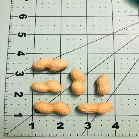 10pc Peanuts with Shell Silicone Mold| Realistic Peanuts| Food Shaped Mold| Candle| Soap | Embeds. Mold for wax| resin|Cla {3}