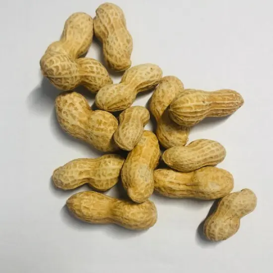 10pc Peanuts with Shell Silicone Mold| Realistic Peanuts| Food Shaped Mold| Candle| Soap | Embeds. Mold for wax| resin|Cla {5}