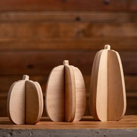 Unfinished Slotted Pumpkins Set of 3 {1}