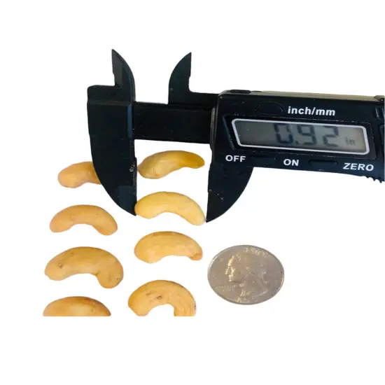 12pc Cashews Silicone Mold| Realistic Peanuts| Food Shaped Mold| Candle| Soap | Embeds. Mold for wax| resin|Cla {2}