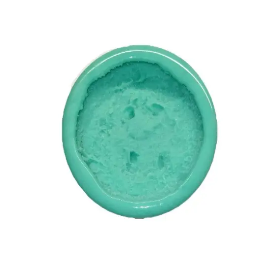 1pc sugar cookie and 1pc chocolate chips cookie Mold | Realistic Food Shape For Soap Embeds | Candle Embeds | Wax Melts Silicone Mold {6}