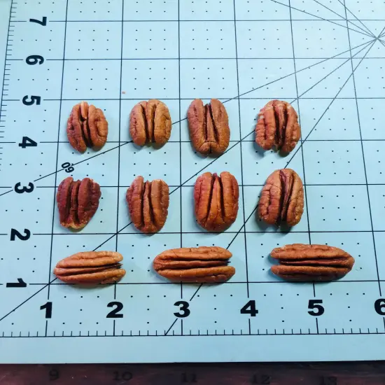 48PC Pecan Shape Silicone MEGA MOLD | Realistic Food Shape For Soap Embeds | Candle Embeds | Wax Melts. BULK EMBEDS {3}