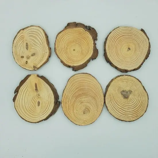 50 Bulk Wood Slices, "B" Grade {2}