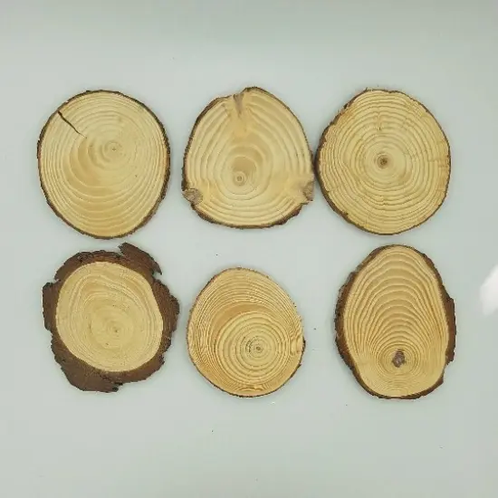50 Bulk Wood Slices, "B" Grade {3}