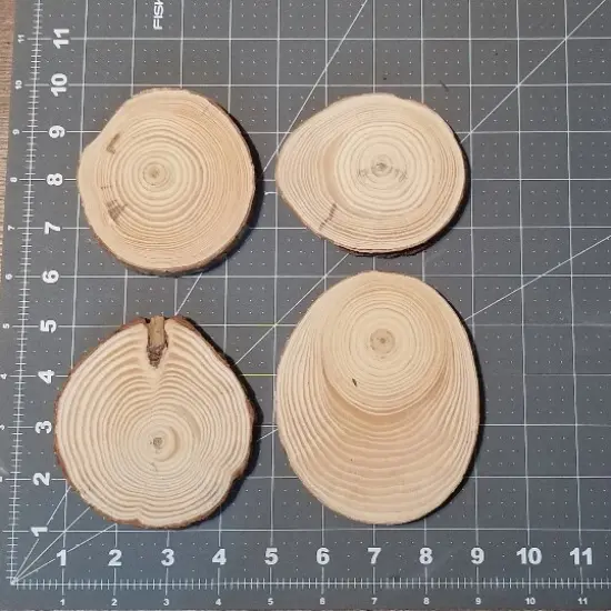 50 Bulk Wood Slices, "B" Grade {5}