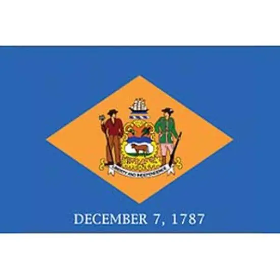 Delaware Flag On A Stick 12" x 18" {1}